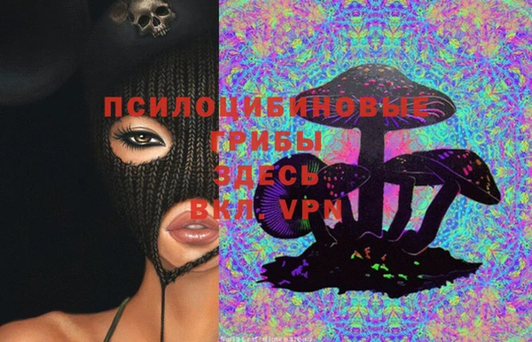 apvp Новый Уренгой