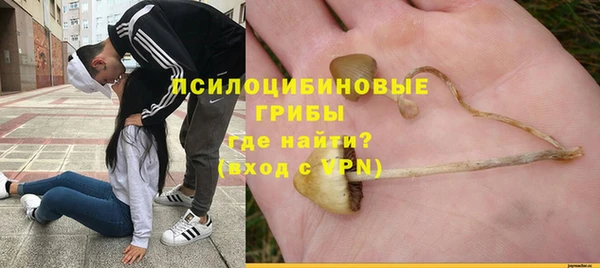 MDMA Premium VHQ Бердск