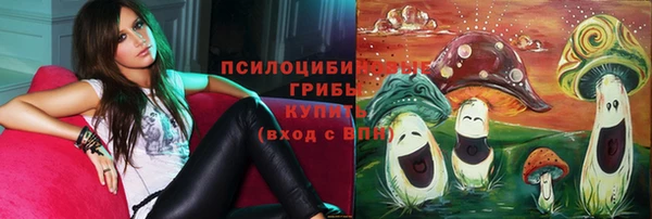 таблы Долгопрудный