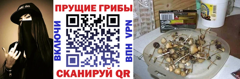 Псилоцибиновые грибы ЛСД  где купить наркотик  Баксан 