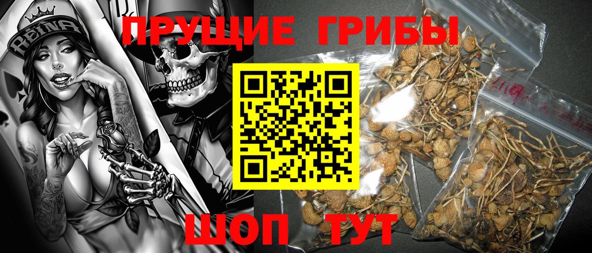 Галлюциногенные грибы ЛСД Баксан