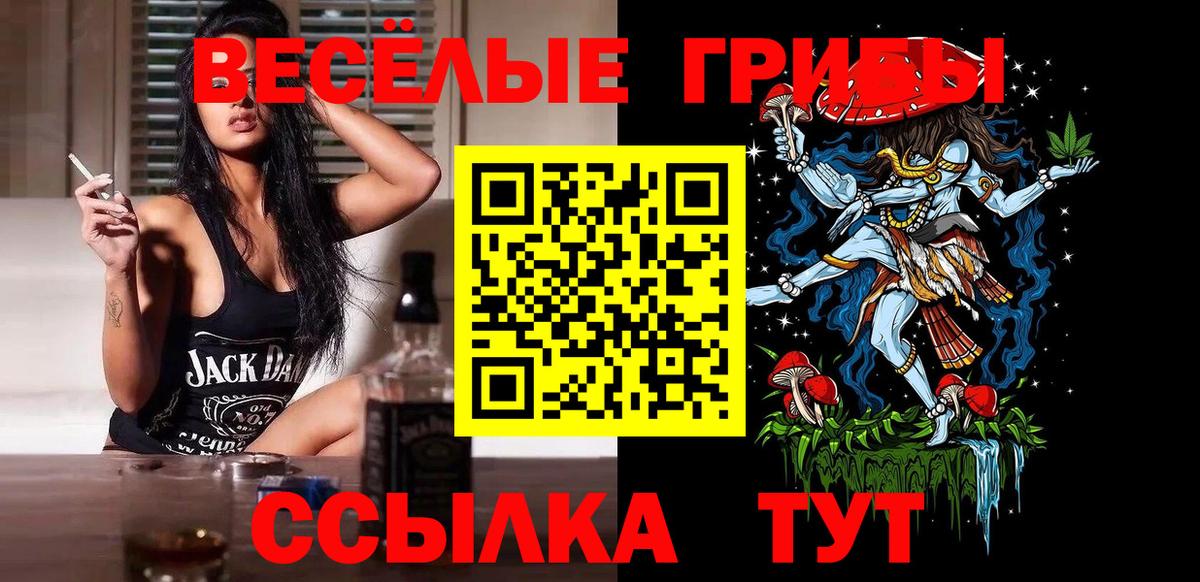 Баксан  закладки  Вход с VPN  Галлюциногенные грибы прущие грибы 