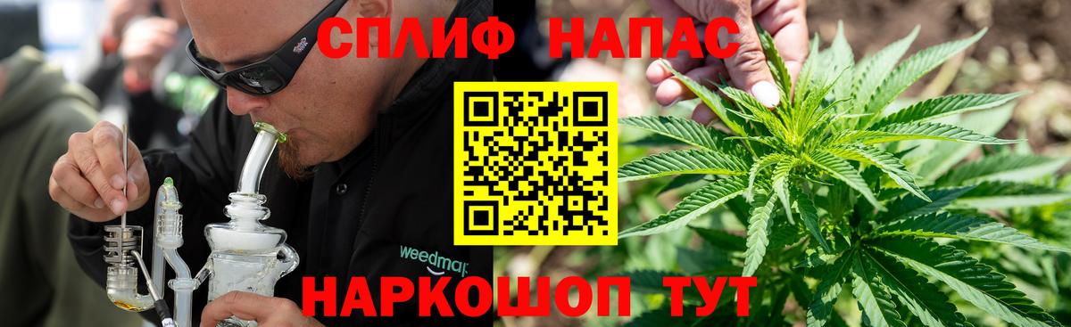 Бошки Шишки конопля  Конопля конопля  Бошки Шишки план  Баксан 